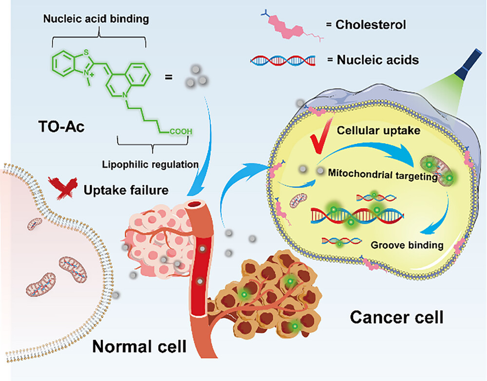 Details are in the caption following the image